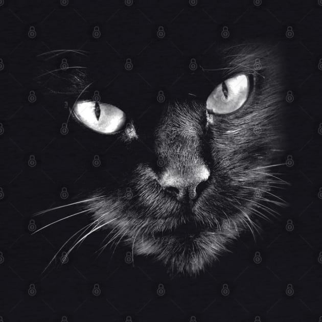 Black Cats Rule - Hello Darkness by GritFX